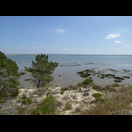 Blick ins Delta des Rio Sado von der Düne der Landzunge, die das Delta vom Atlantik trennt